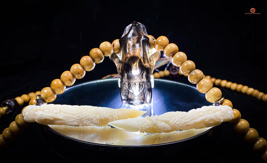 Collier Chaman - Mala Totem 108 perles – Tigre à dents de sabre | obsidian dragons