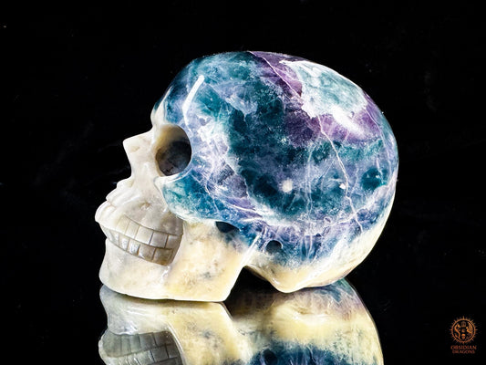 Crâne en fluorite & calcite - Sculpture minérale rare | obsidian dragons