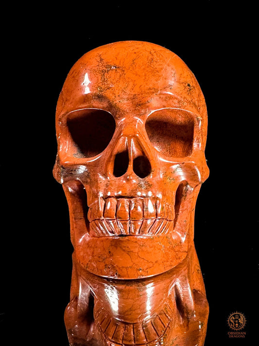 Crâne en jaspe rouge - Vanité minérale de collection | obsidian dragons