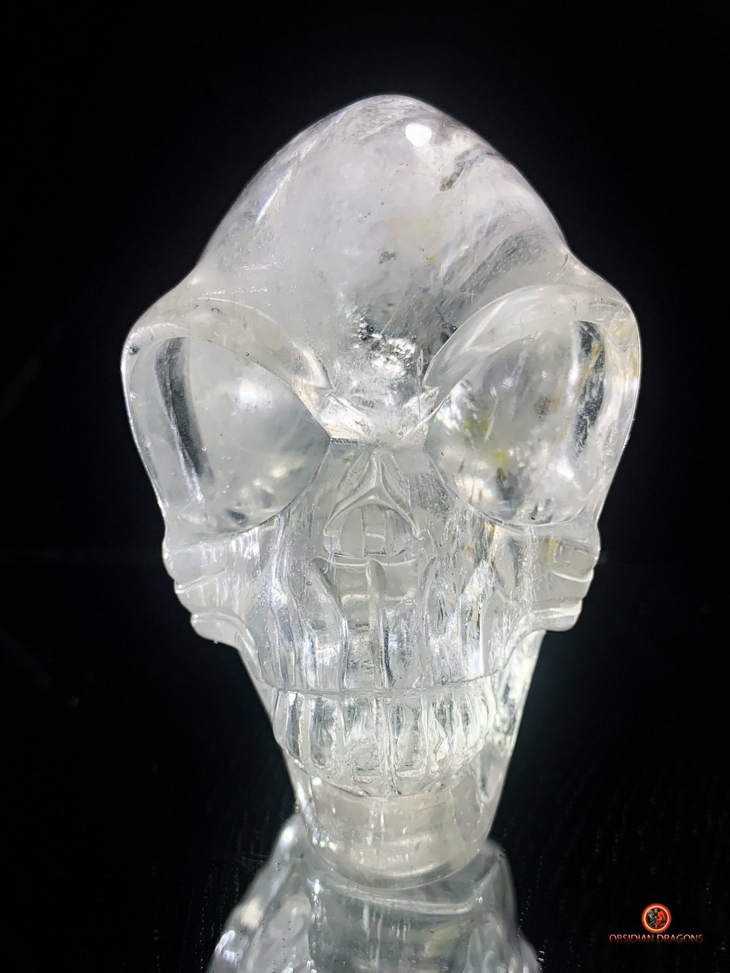 Crâne Alien en Cristal de Roche – Inclusions Arc-en-Ciel | obsidian dragons