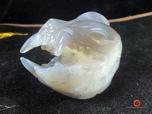 Crâne Énergétique Léopard Zheng - Purification du Qi | obsidian dragons