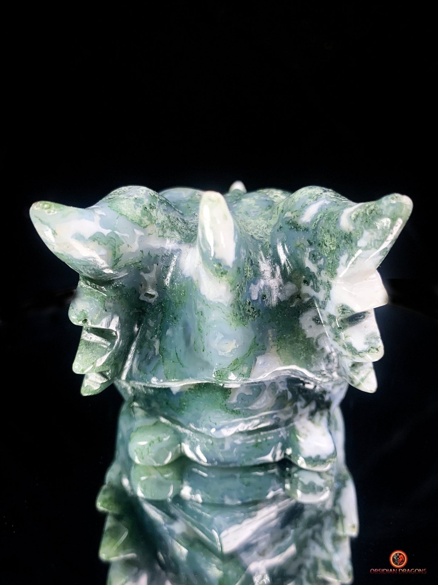 Crâne de Dragon en Agate Mousse - Puissance et Équilibre | obsidian dragons