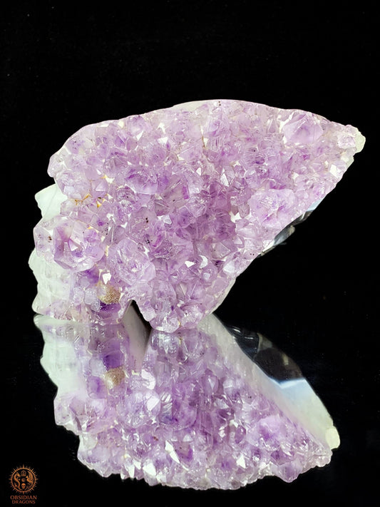 Crâne de cristal ailé en améthyste - Le messager | obsidian dragons