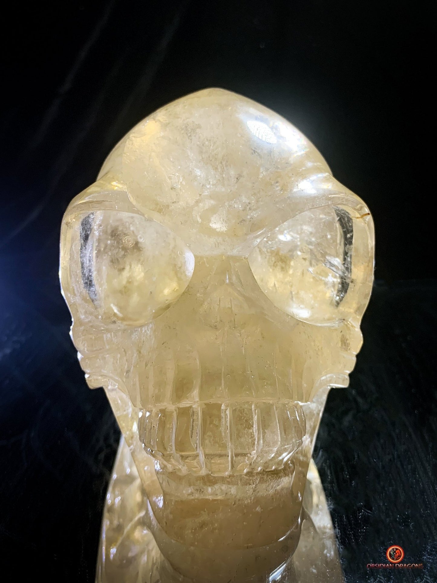 Crâne de Cristal Alien Allongé Imposant – Quartz Fumé – 3,14kg | obsidian dragons