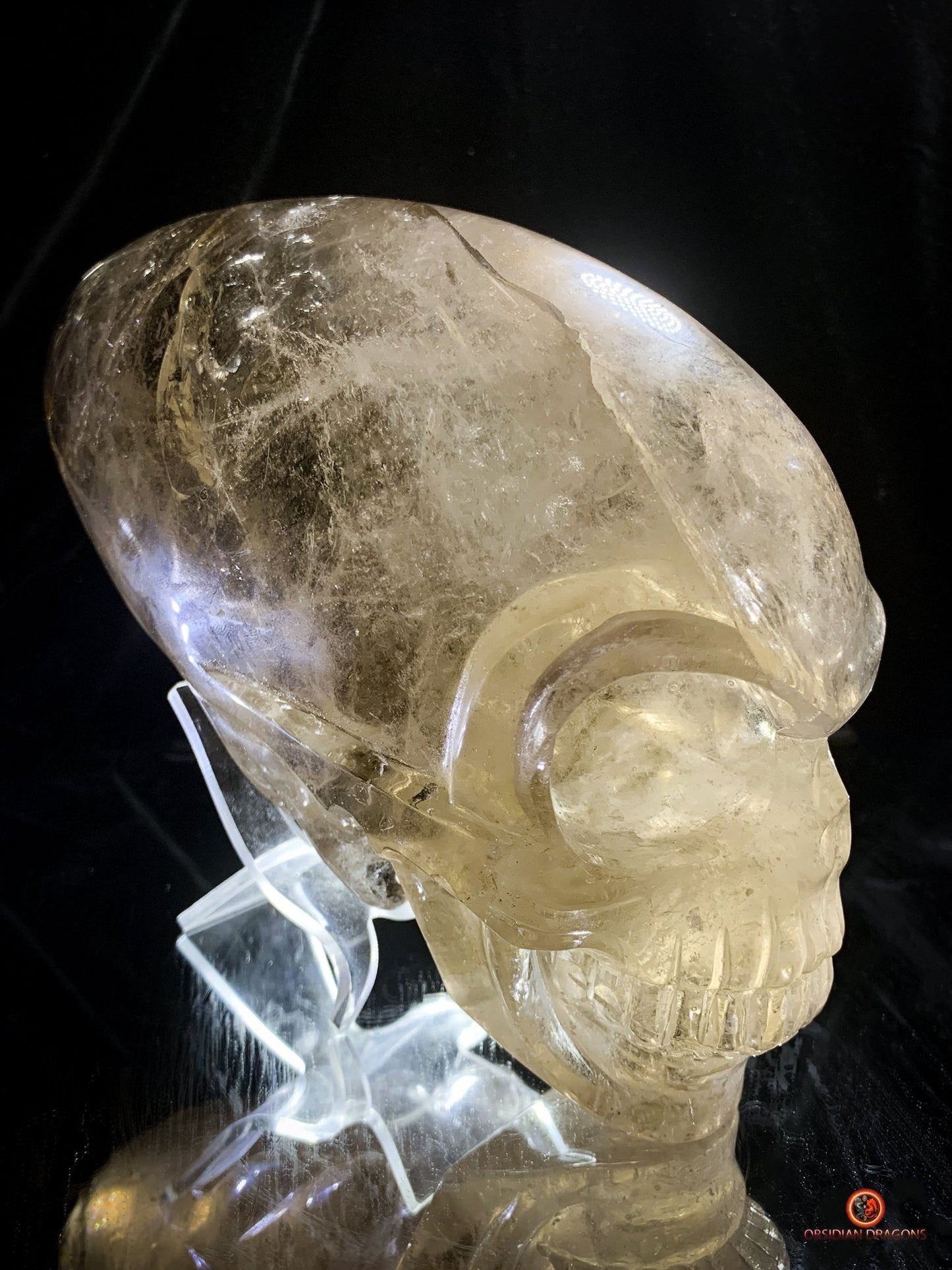 Crâne de Cristal Alien Allongé Imposant – Quartz Fumé – 3,14kg | obsidian dragons