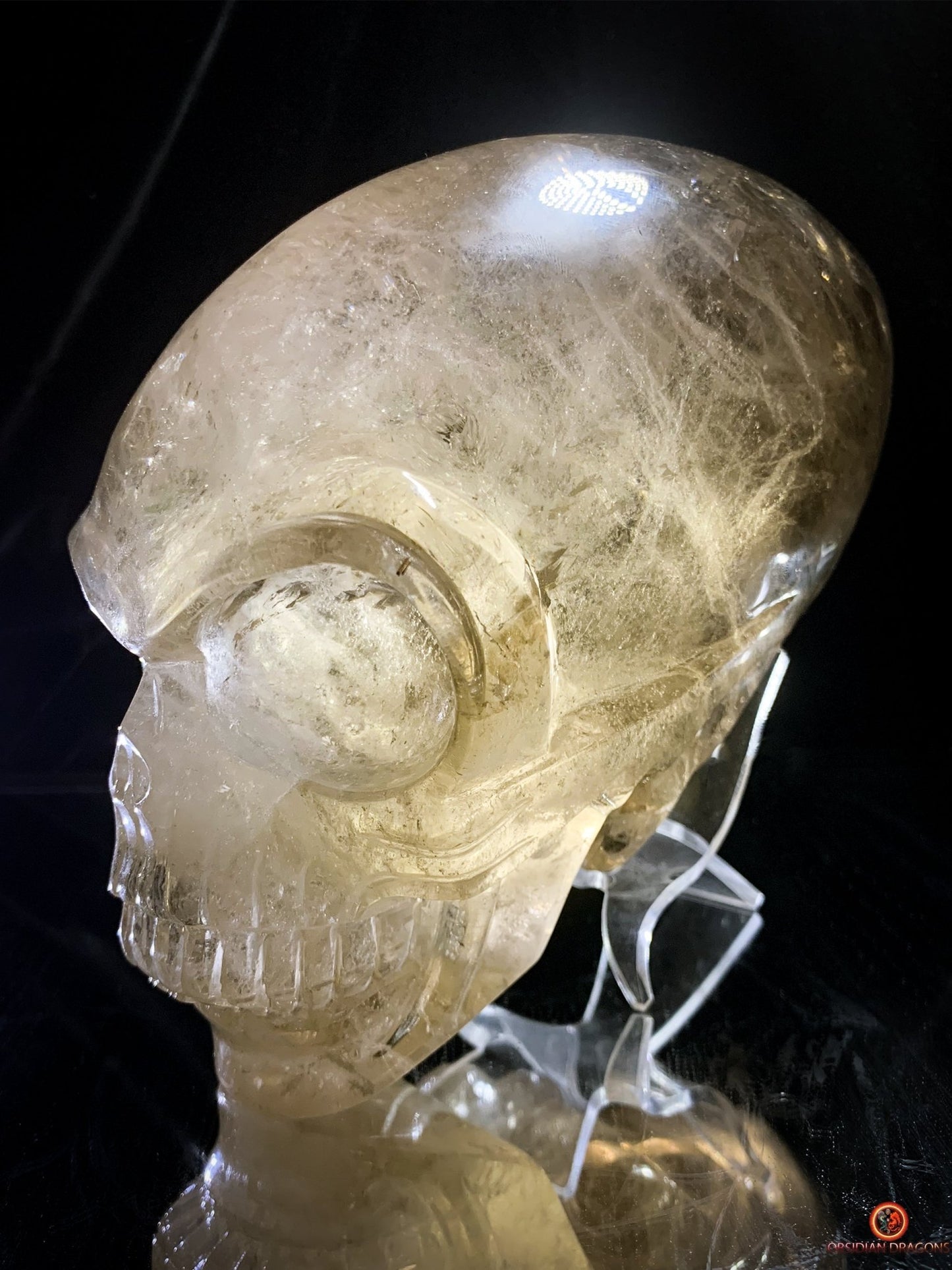 Crâne de Cristal Alien Allongé Imposant – Quartz Fumé – 3,14kg | obsidian dragons