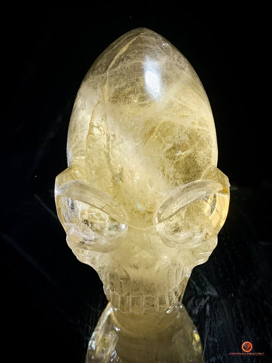 Crâne de Cristal Alien Allongé Imposant – Quartz Fumé – 3,14kg | obsidian dragons
