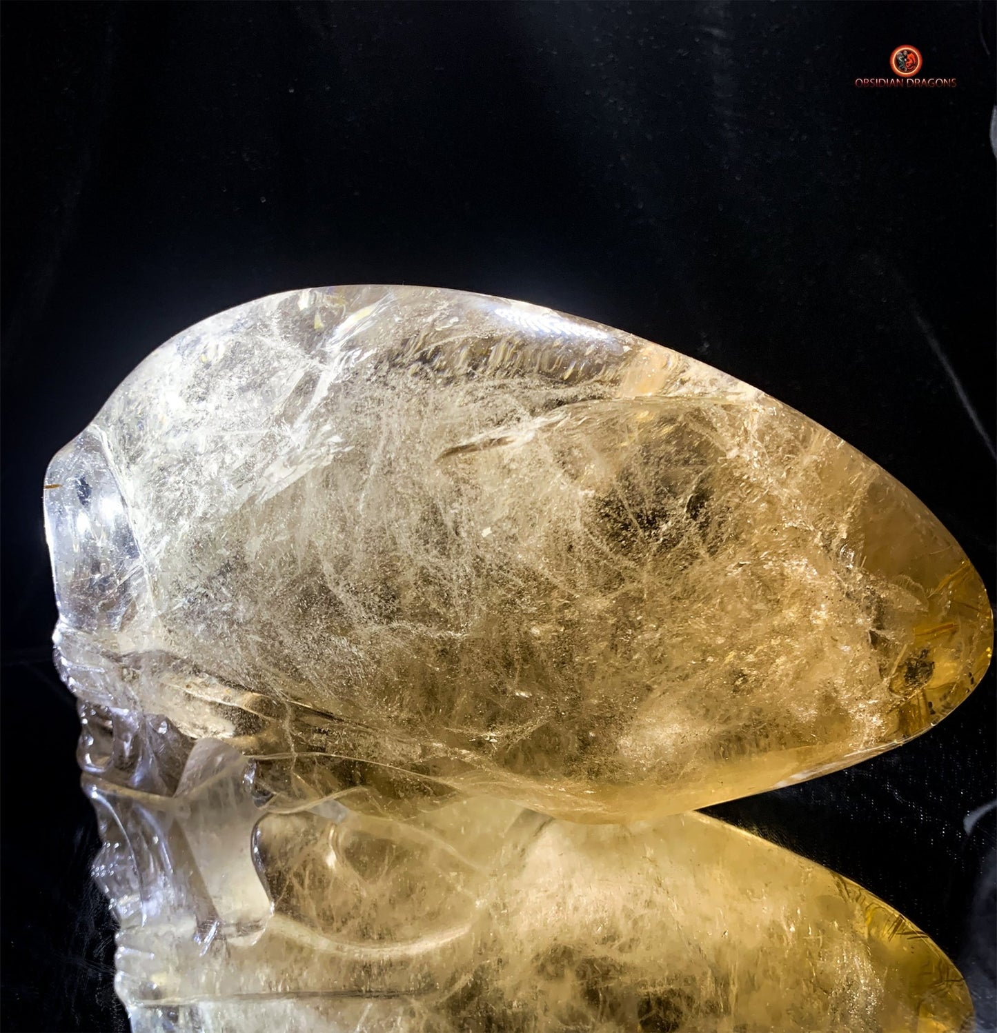 Crâne de Cristal Alien Allongé Imposant – Quartz Fumé – 3,14kg - obsidian dragons