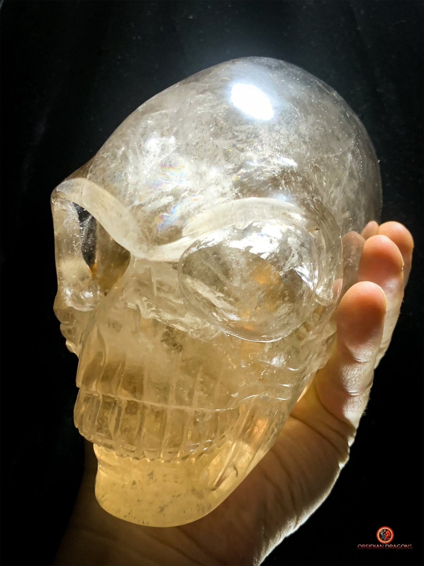 Crâne de Cristal Alien Allongé Imposant – Quartz Fumé – 3,14kg - obsidian dragons