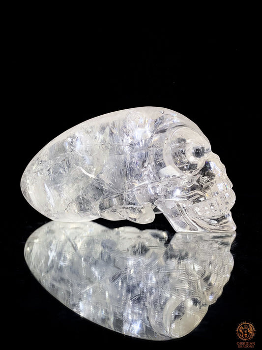 Crâne de Cristal Alien en Cristal de Roche – Éclat Stellaire | obsidian dragons