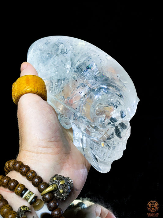 Crâne de Cristal Alien en Cristal de Roche – Éclat Stellaire | obsidian dragons