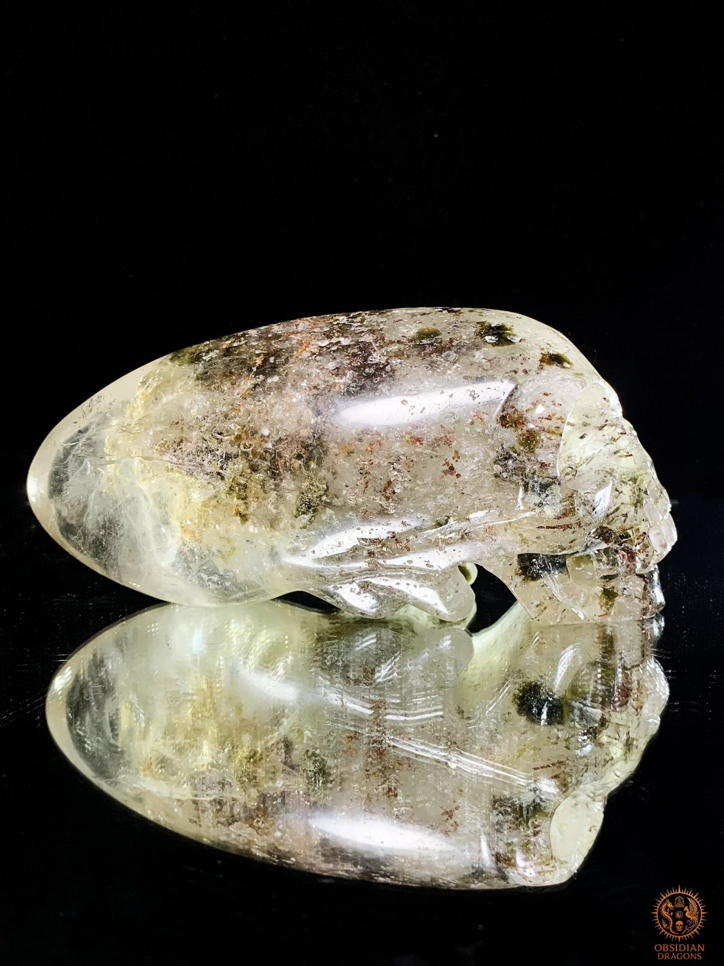 Crâne de Cristal Alien en Quartz Lodolite – Piliers Cosmiques | obsidian dragons