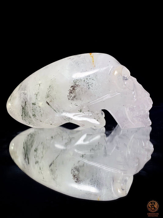 Crâne de Cristal Alien en Quartz Lodolite – Reflets Cosmiques | obsidian dragons