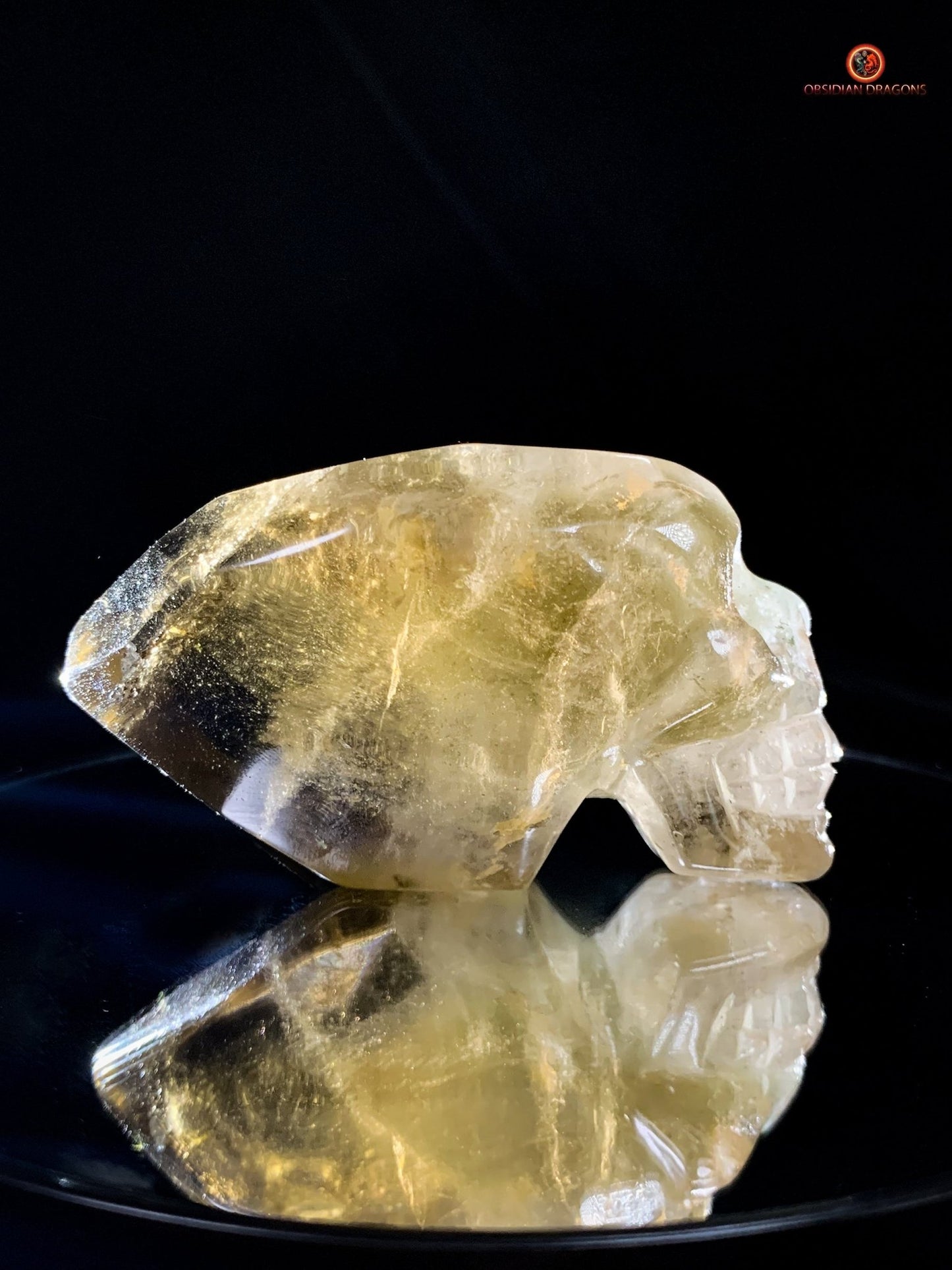 Crâne de cristal allongé - Quartz Fumé- Énergie Spirituelle | obsidian dragons