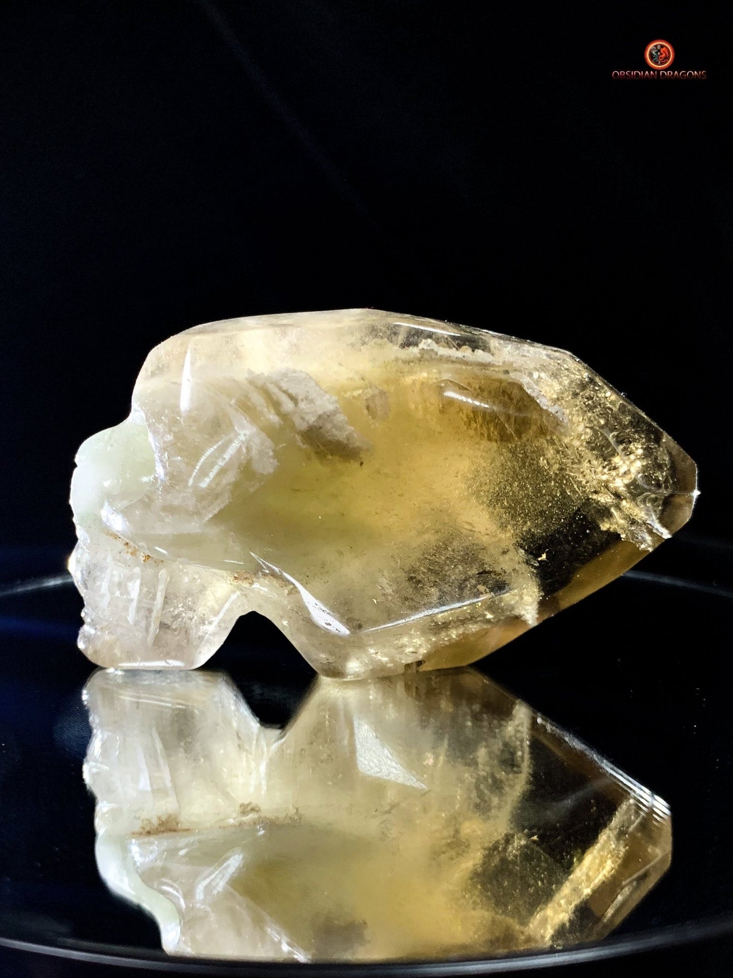 Crâne de cristal allongé - Quartz Fumé- Énergie Spirituelle | obsidian dragons