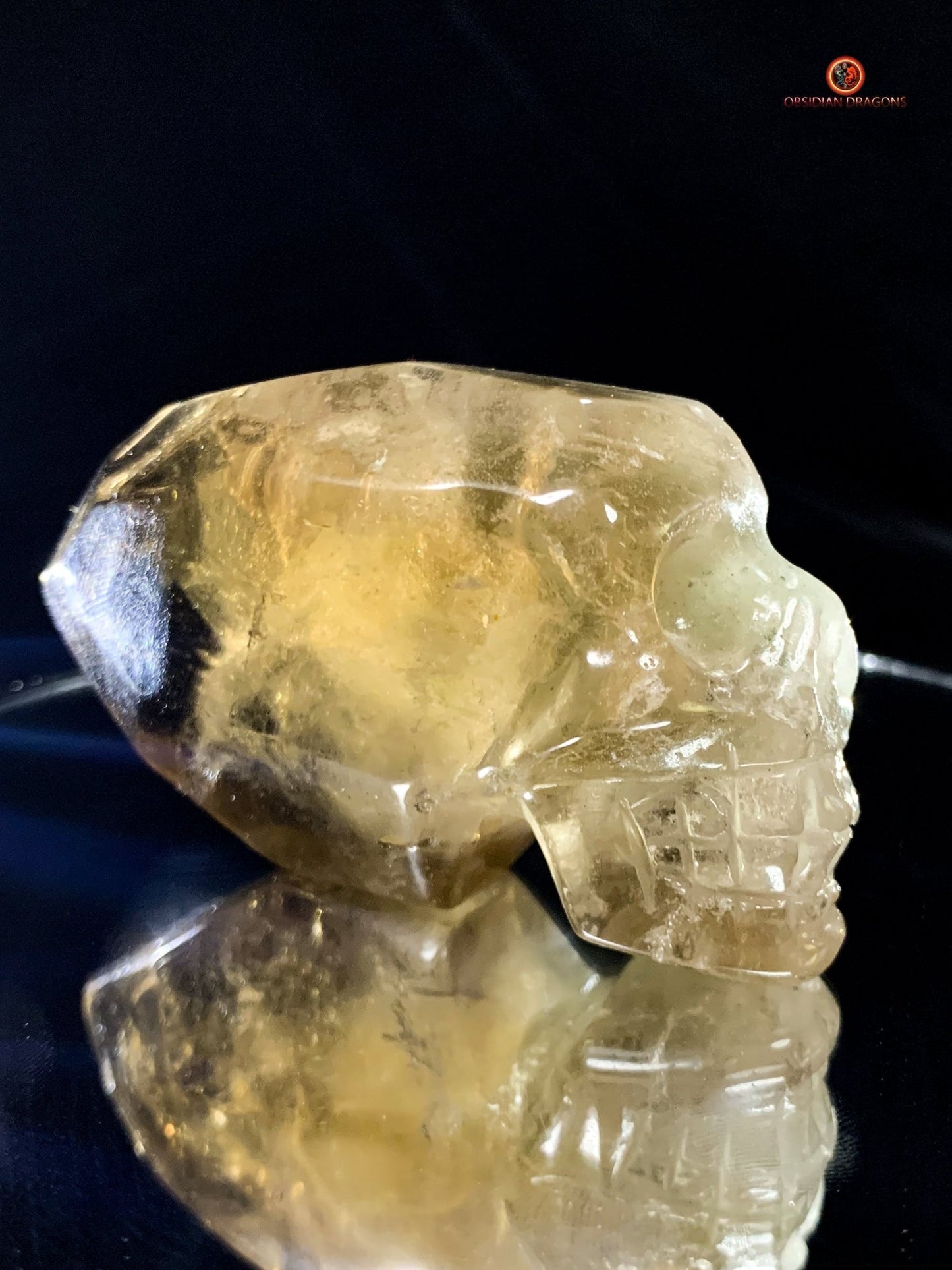 Crâne de cristal allongé - Quartz Fumé- Énergie Spirituelle | obsidian dragons