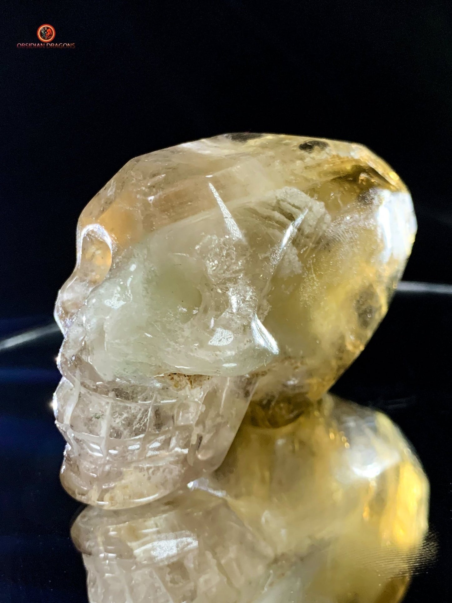 Crâne de cristal allongé - Quartz Fumé- Énergie Spirituelle | obsidian dragons