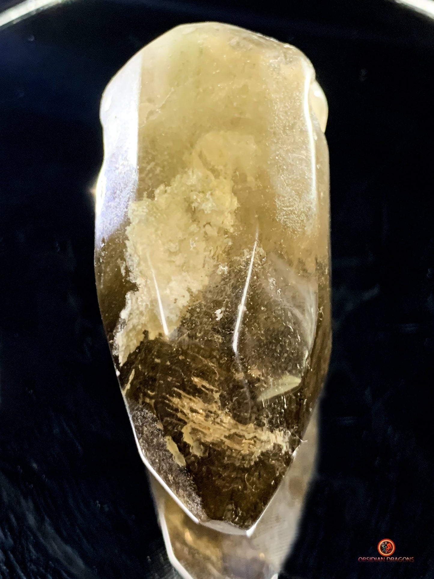 Crâne de cristal allongé - Quartz Fumé- Énergie Spirituelle | obsidian dragons