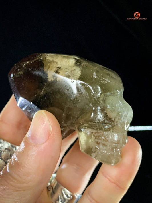 Crâne de cristal allongé - Quartz Fumé- Énergie Spirituelle | obsidian dragons