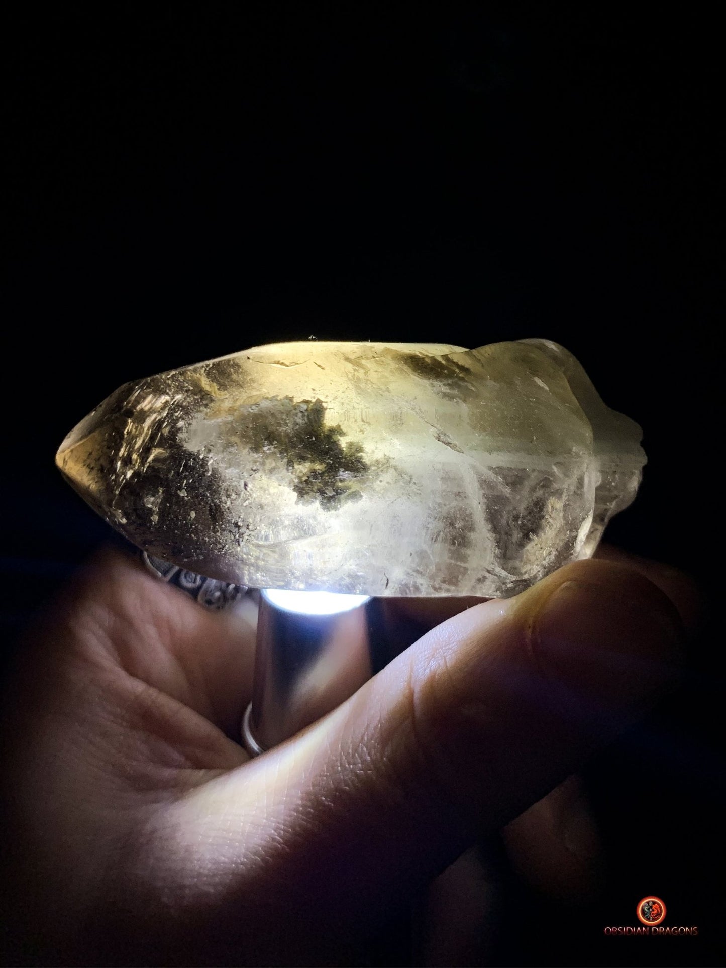 Crâne de cristal allongé - Quartz Fumé- Énergie Spirituelle | obsidian dragons
