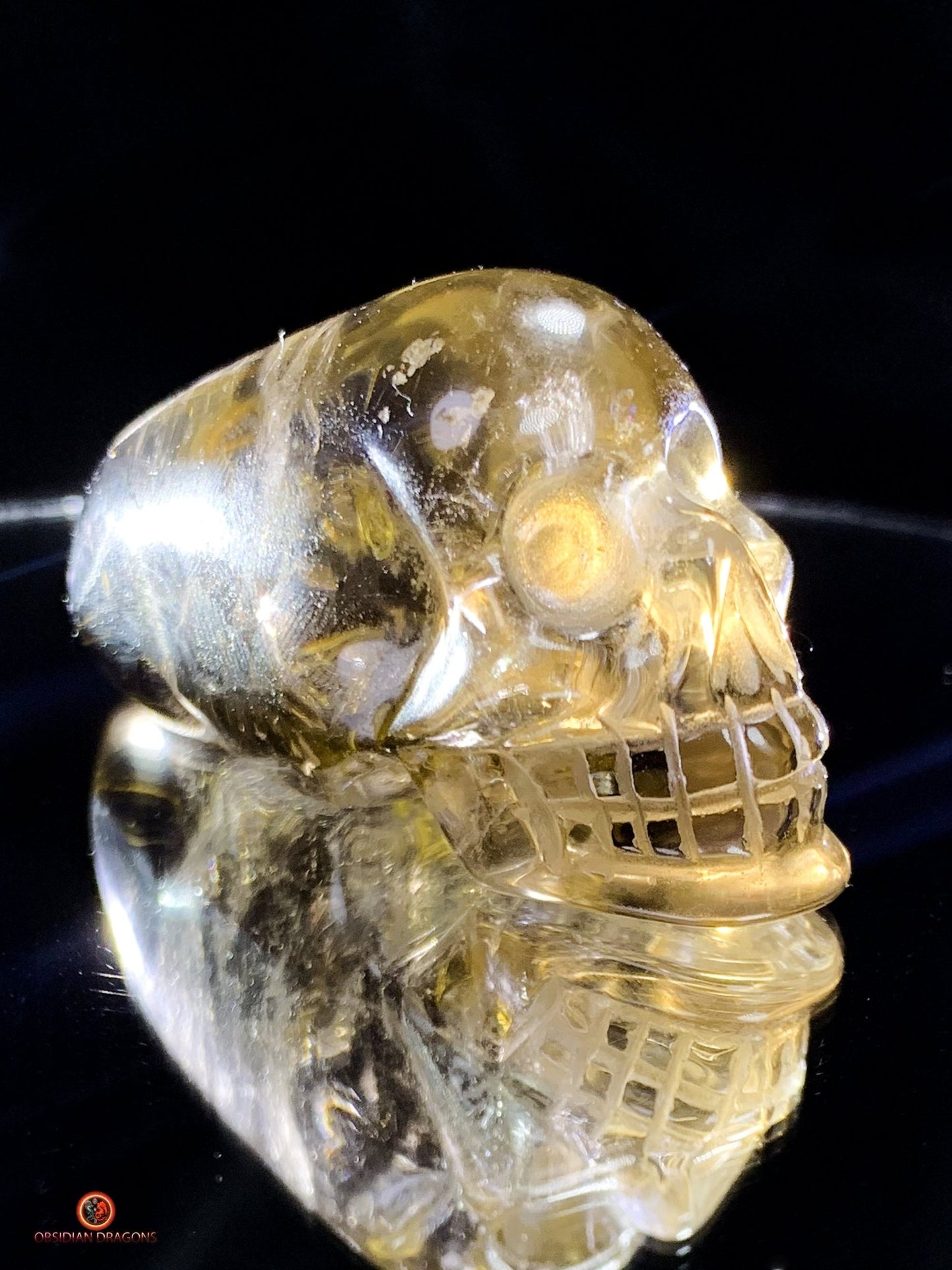 Crâne de Cristal Allongé en Quartz Rutile - Énergie et Éveil | obsidian dragons