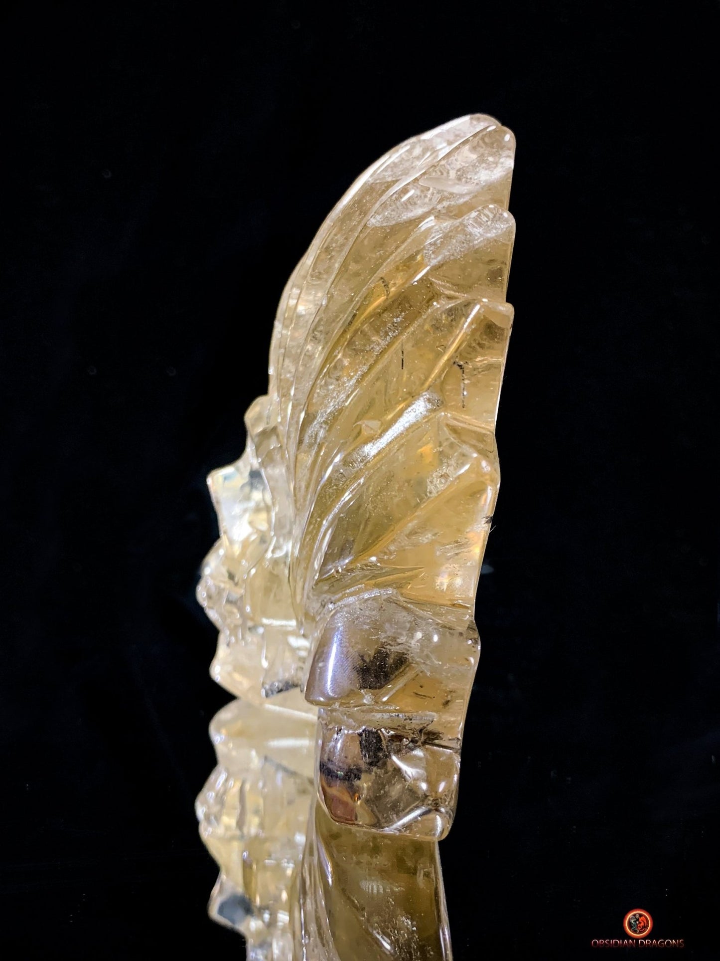 Crâne de Cristal Chamane - Quartz Fumé à Tourmaline Noire - obsidian dragons