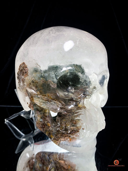 Crâne de Cristal Colossal en Quartz Lodolite – Exceptionnel | obsidian dragons