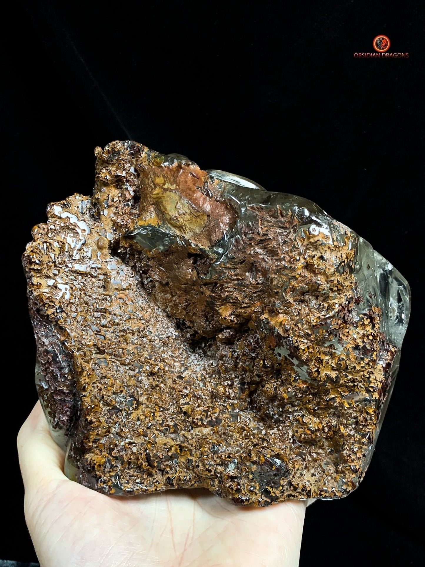 Crâne de Cristal Enflammé - Cristal de Roche Chlorite | obsidian dragons