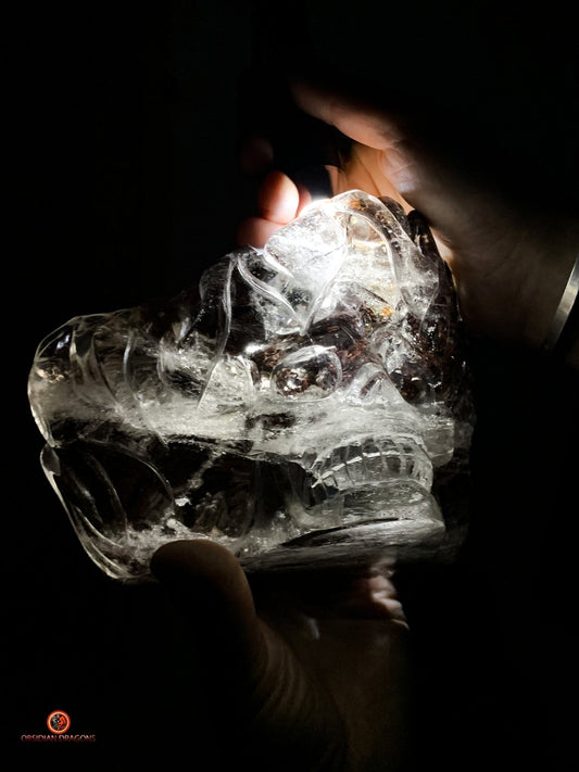 Crâne de Cristal Enflammé - Cristal de Roche Chlorite | obsidian dragons
