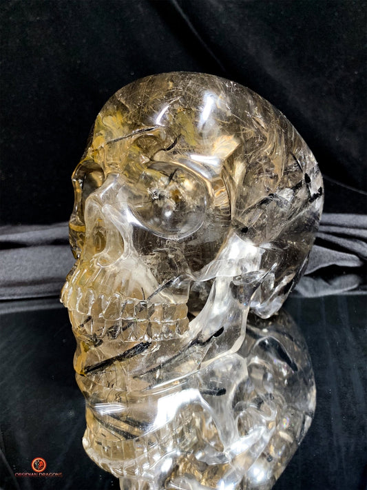 Crâne de Cristal Exceptionnel - Cristal de Roche à Inclusions | obsidian dragons