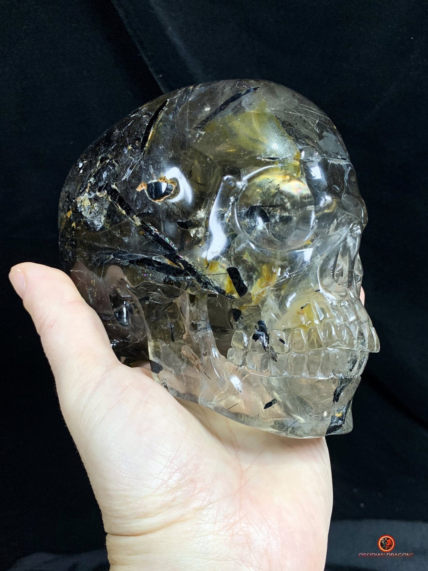 Crâne de Cristal Exceptionnel - Cristal de Roche à Inclusions | obsidian dragons