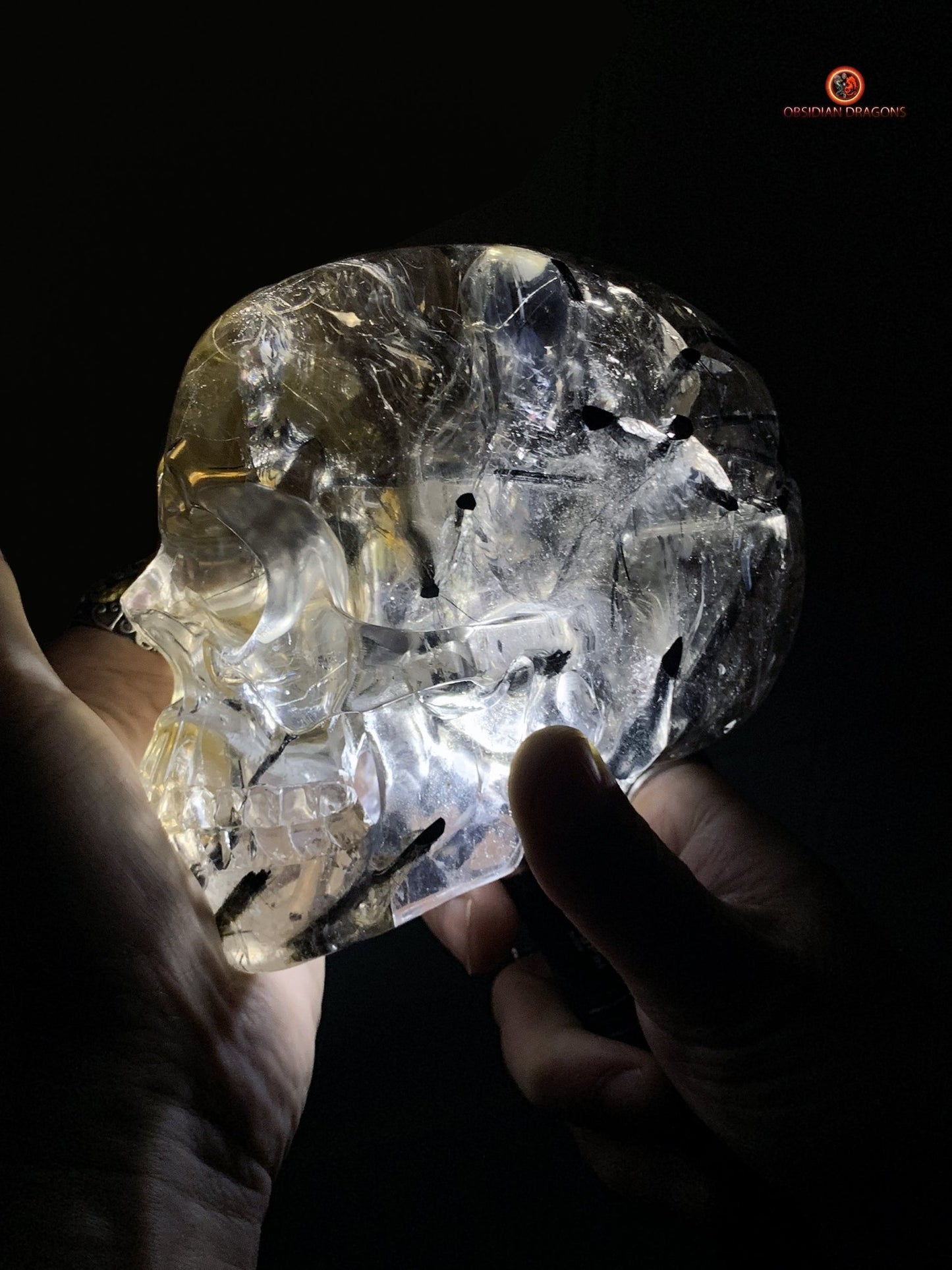 Crâne de Cristal Exceptionnel - Cristal de Roche à Inclusions | obsidian dragons