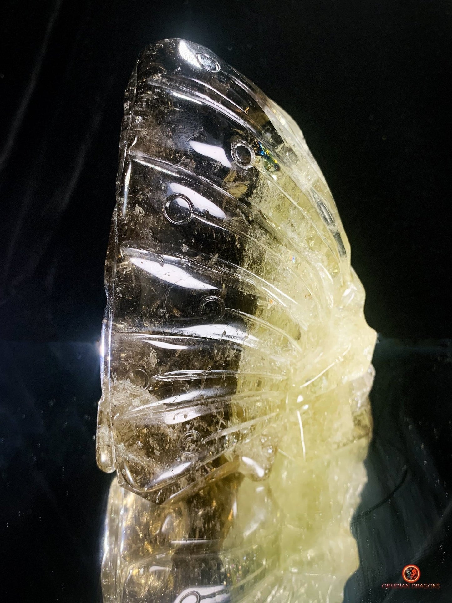 Crâne de Cristal Fontaine à Encens – Quartz Fumé & Cristal | obsidian dragons