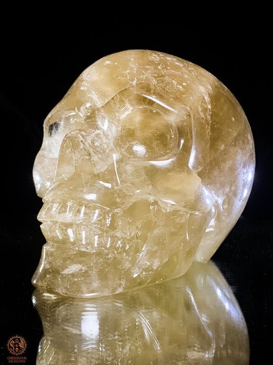 Crâne de Cristal Quartz Fumé Naturel – Reflets Arc-en-Ciel | obsidian dragons