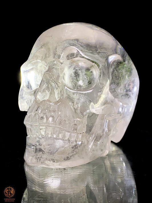 Crâne de Cristal Rare - Cristal de Roche – Pièce de Collection - obsidian dragons
