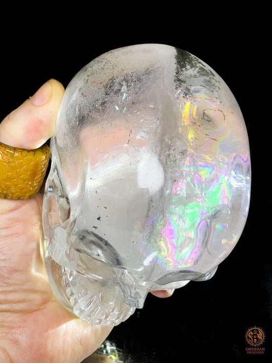 Crâne de Cristal Rare - Cristal de Roche – Pièce de Collection - obsidian dragons