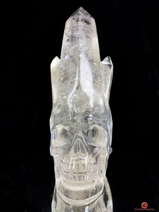 Crâne de Cristal - cristal de roche - Crâne à Pointes de Cristal | obsidian dragons