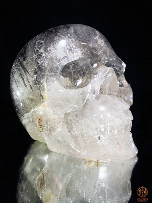 Crâne de Cristal - cristal de roche à Tourmaline Noire – Rare | obsidian dragons