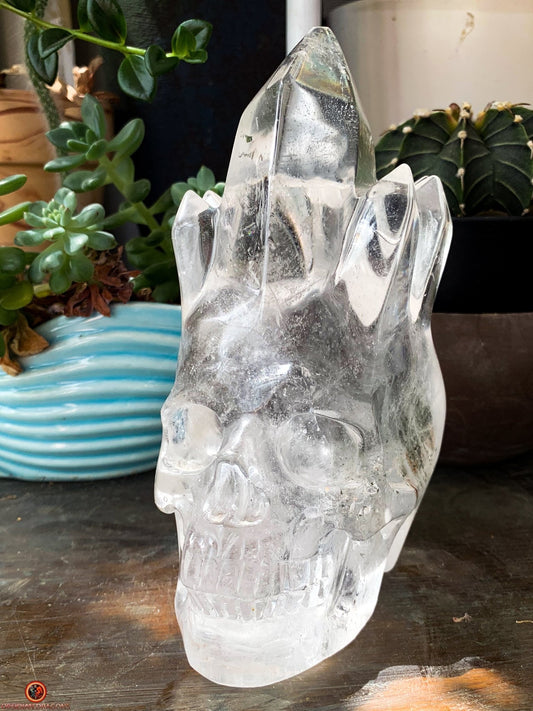 Crâne de Cristal de Roche - Crâne à Pointes de cristal - obsidian dragons