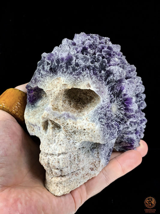 Crâne de Cristal en Améthyste Brute – Esprit des Origines | obsidian dragons