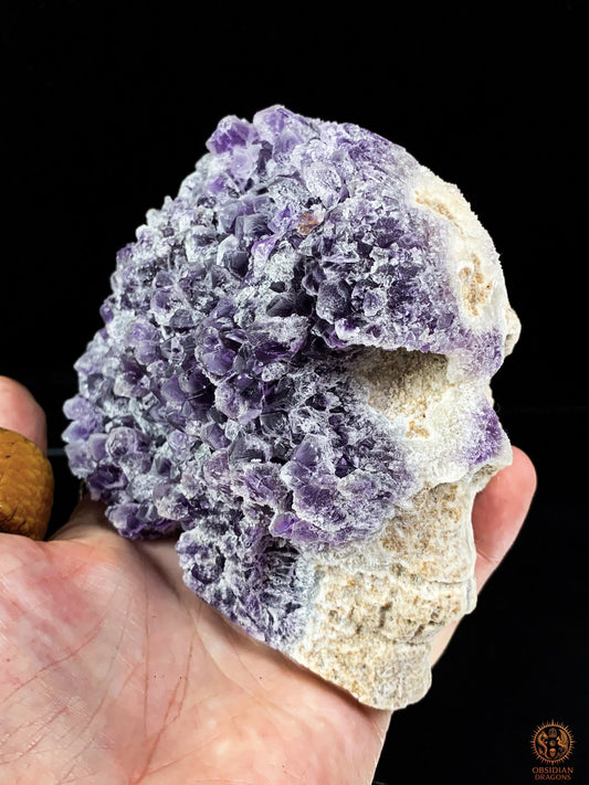 Crâne de Cristal en Améthyste Brute – Gardien des Origines | obsidian dragons