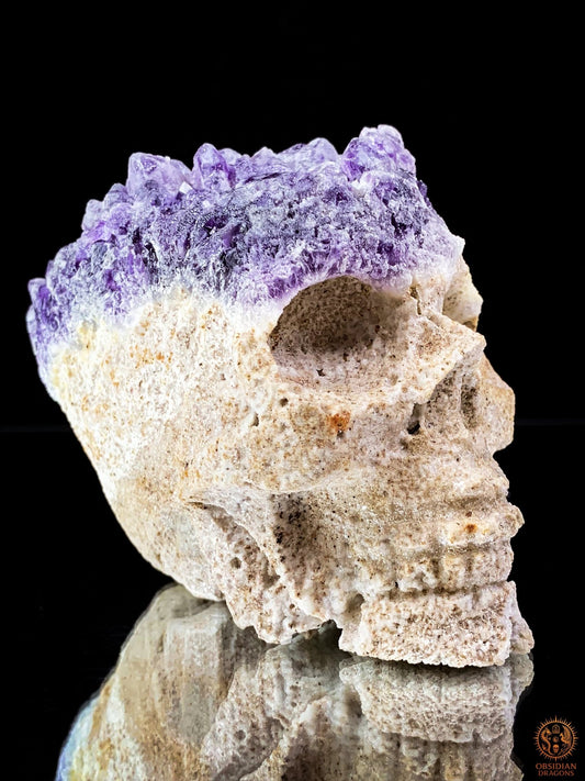 Crâne de Cristal en Améthyste Brute – Vision des Origines | obsidian dragons