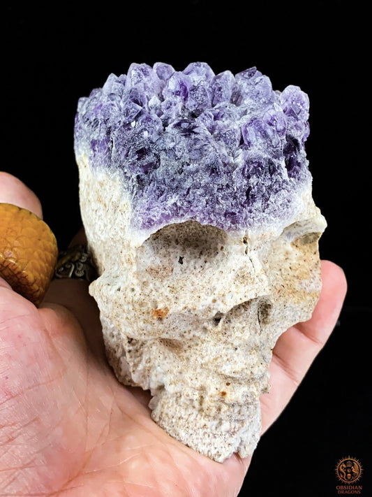 Crâne de Cristal en Améthyste Brute – Vision des Origines | obsidian dragons