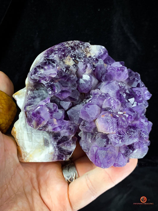 Crâne de Cristal en Améthyste - Crâne de Méditation exceptionnel | obsidian dragons