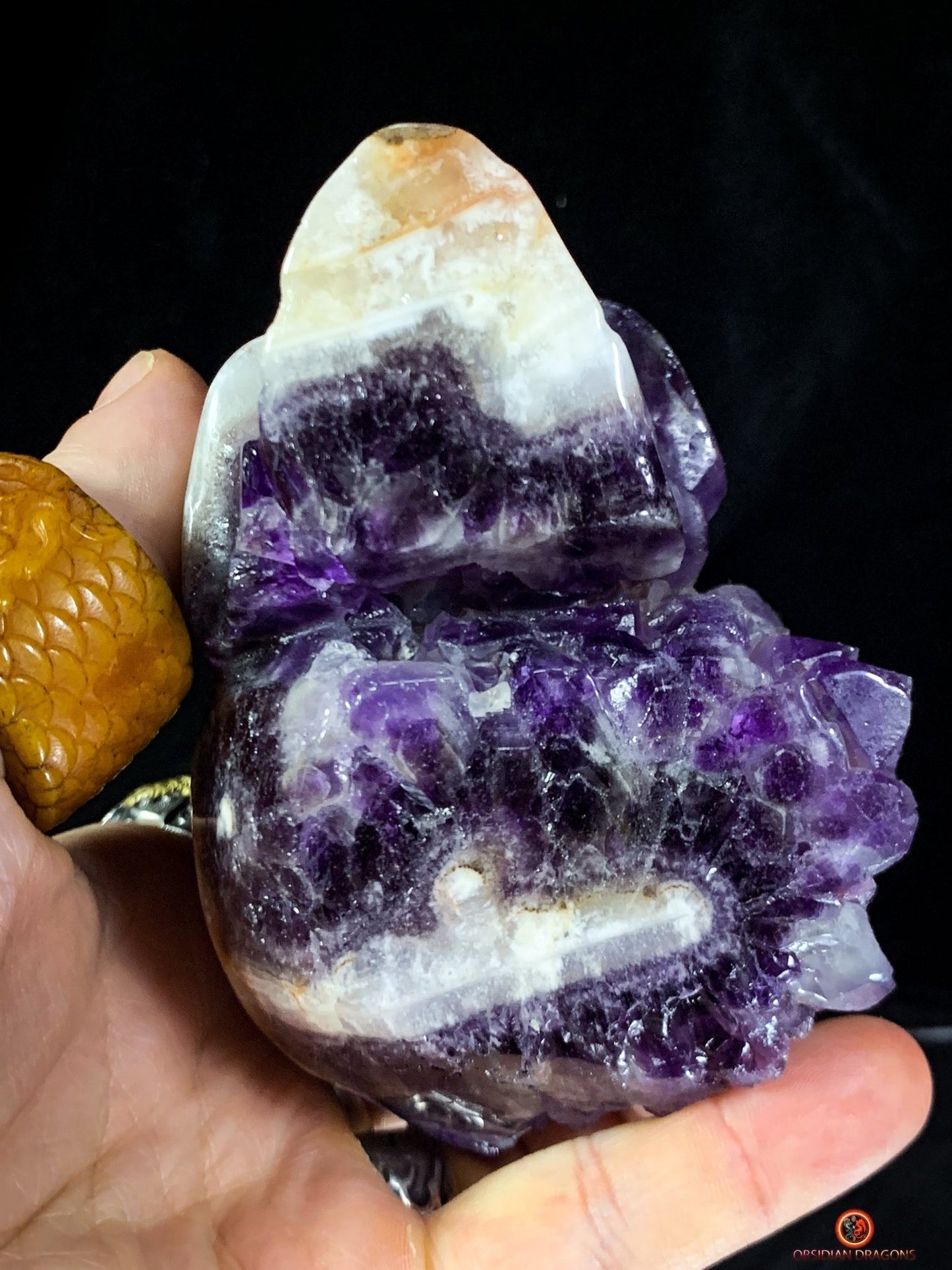 Crâne de Cristal en Améthyste - Crâne de Méditation exceptionnel - obsidian dragons