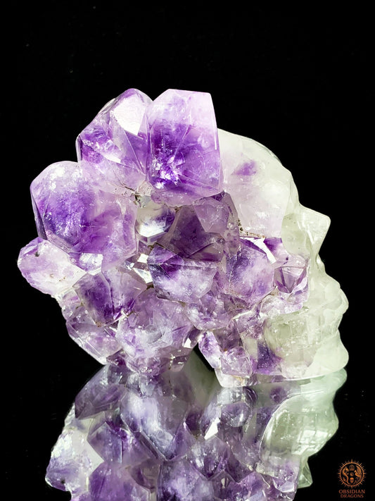 Crâne de Cristal en Améthyste – Éveil Stellaire | obsidian dragons