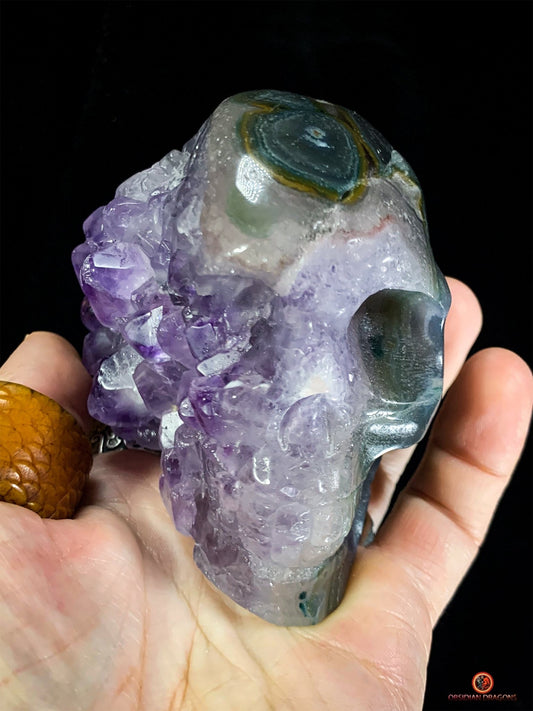 Crâne de Cristal en Améthyste - Fusion Énergétique rare | obsidian dragons