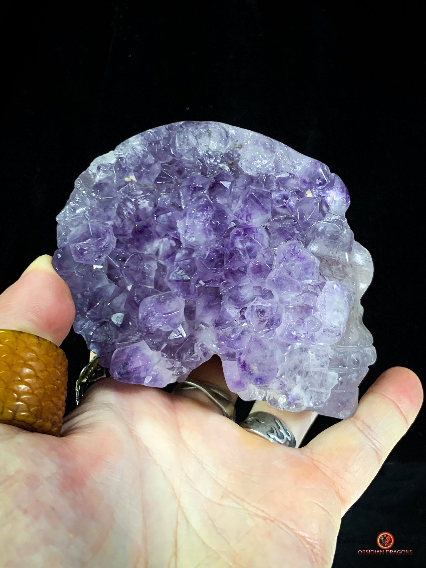 Crâne de Cristal en Améthyste – Fusion du Cristal et de l’Âme - obsidian dragons