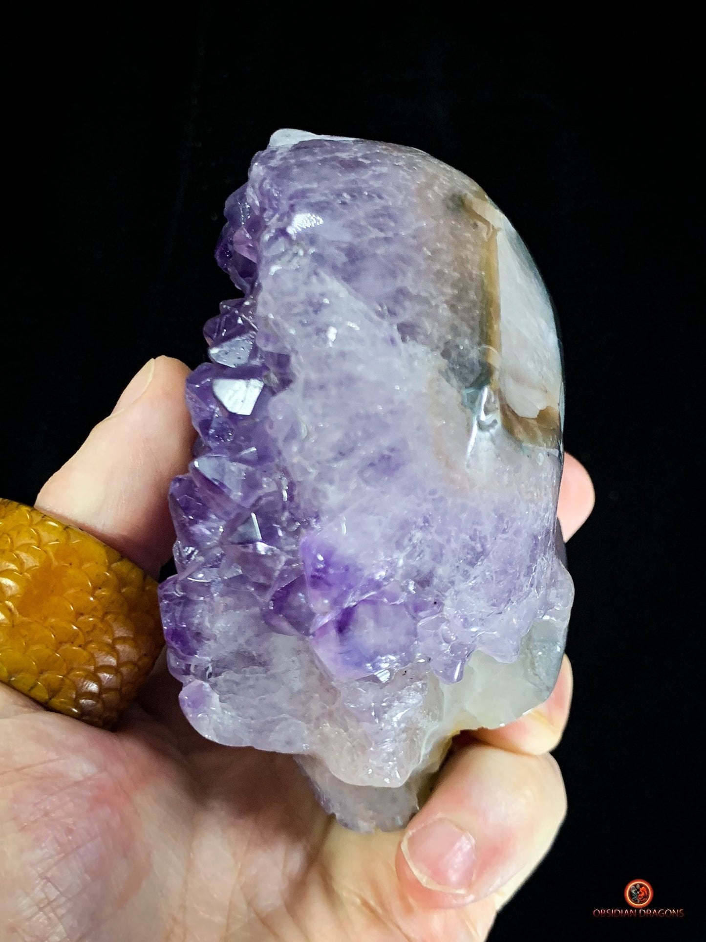 Crâne de Cristal en Améthyste – Fusion du Cristal et de l’Âme | obsidian dragons