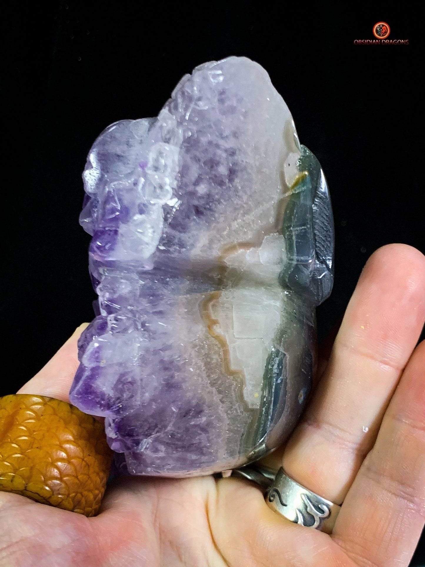 Crâne de Cristal en Améthyste – Fusion du Cristal et de l’Âme - obsidian dragons
